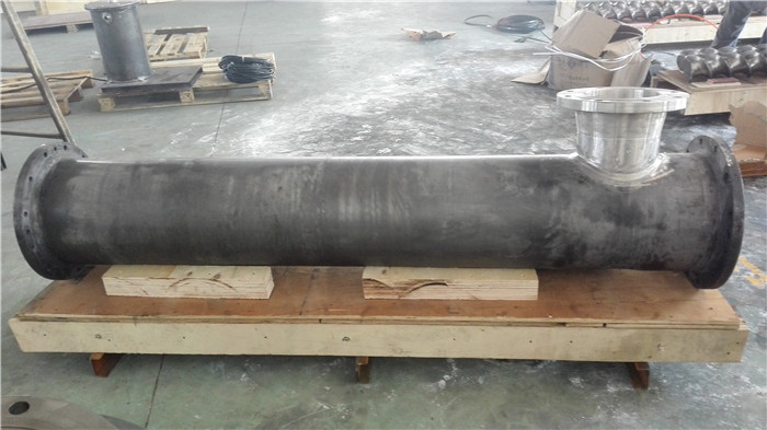 Extrusora de tornillo gemelo paralelo integrado