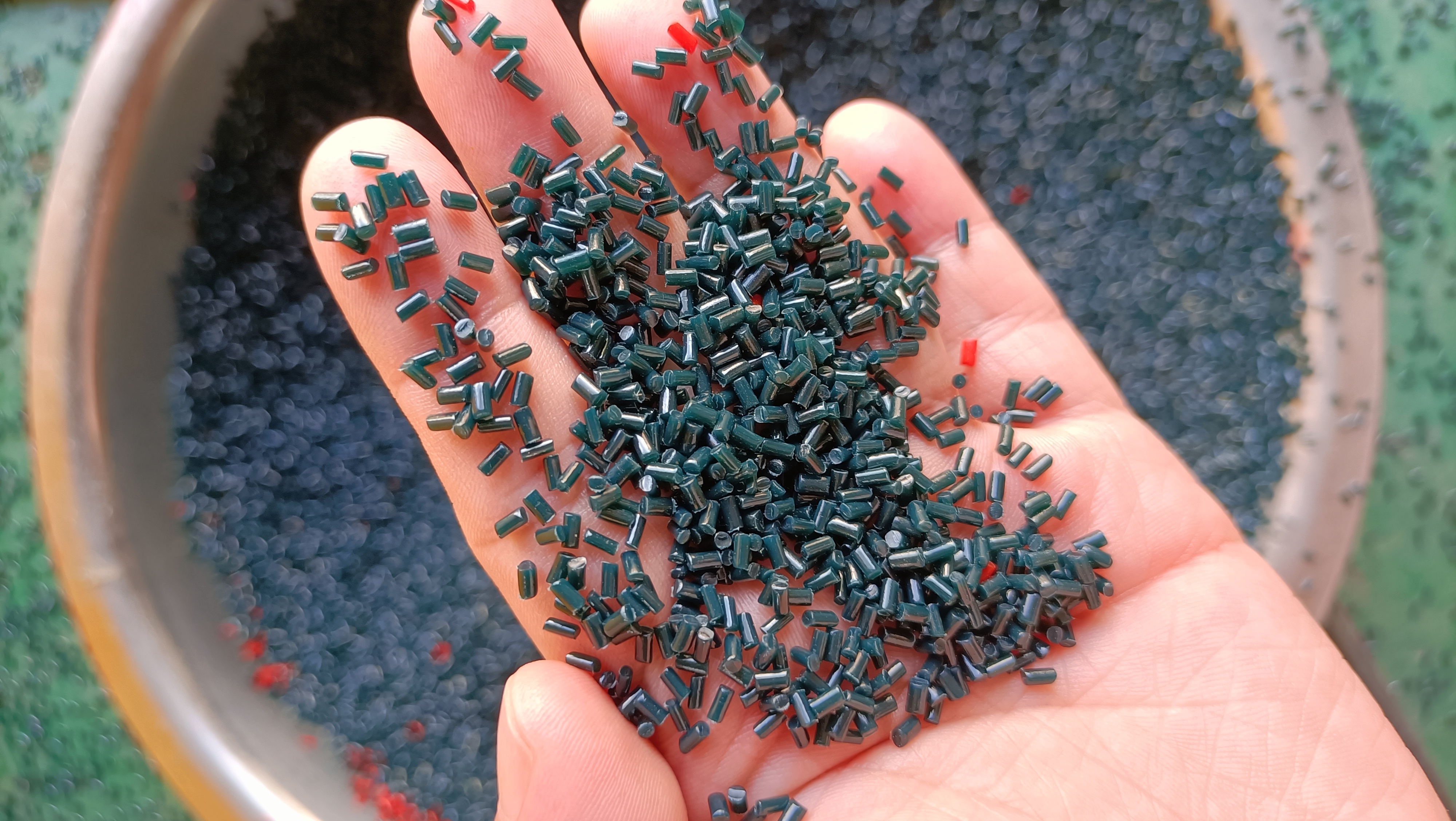 ~!phoenix_varIMG22!~