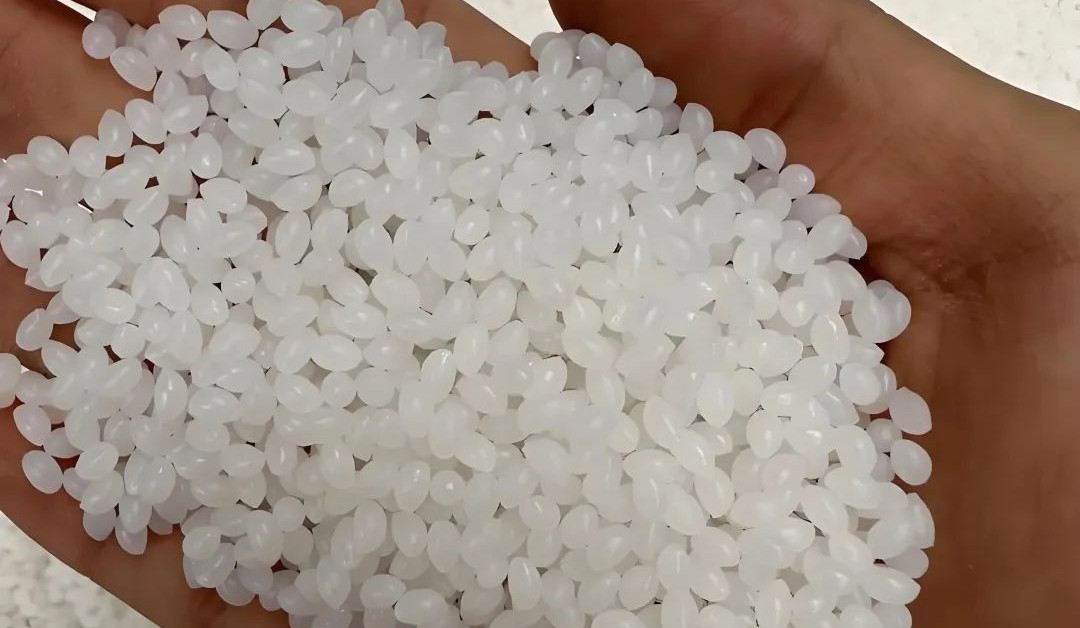 微信图片 _2025-08-25_145233_768