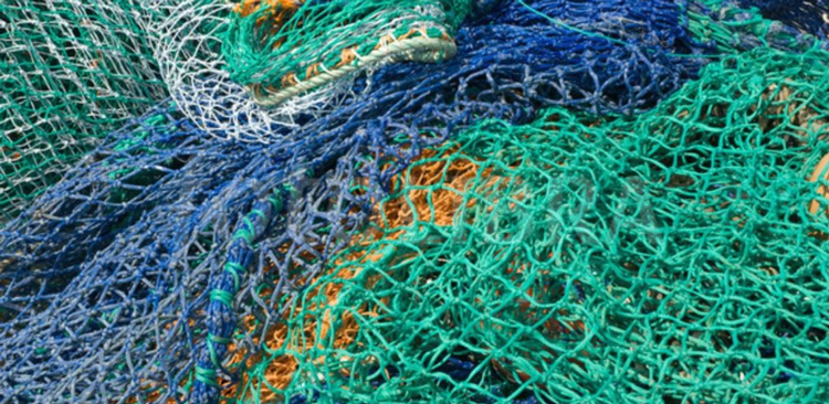 reciclaje de la red de pescado