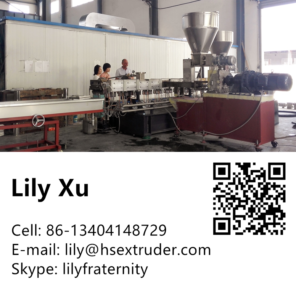 PP + Fibra de vidrio de alta capacidad Twin Twin Tornillo Extrusora Máquina Extrusora