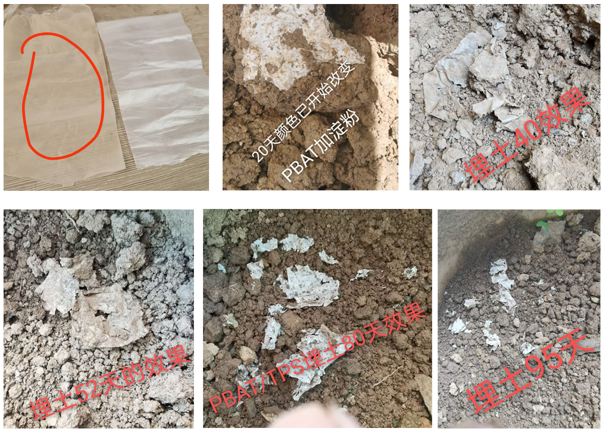 M&aacute;quina granuladora PLA/PBAT PP almid&oacute;n de ma&iacute;z compuesto extrusora de doble tornillo